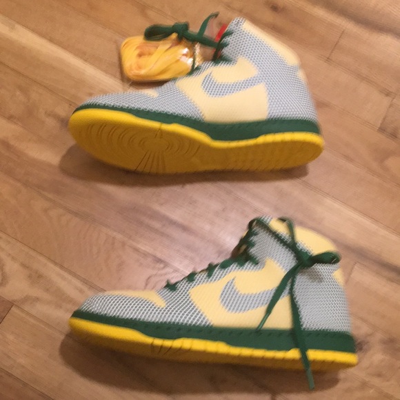 nike dunk high 1 piece premium
